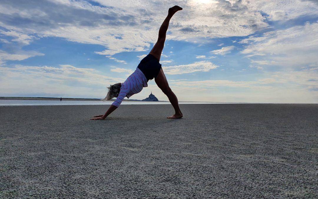 Reprise et inscription YOGA 2020-2021